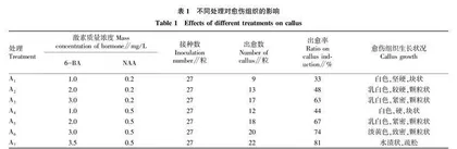 外源激素对仙茅未成熟种子愈伤组织诱导不定芽分化的影响