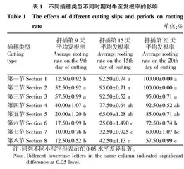 牛至全日照间歇喷雾扦插育苗研究