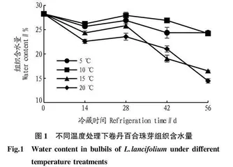 不同温度处理对卷丹百合珠芽生理生化指标的影响