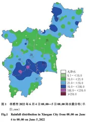孝感市一次暴雨过程预报失误原因分析