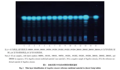 加味归芪片质量标准研究