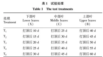 不同成熟度烤烟水分与组织结构差异研究