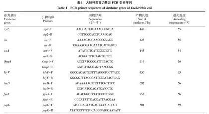 郑州市宠物猫源病原菌毒力基因检测及其耐药性分析