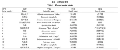 13种常用室内绿墙植物生态效益研究
