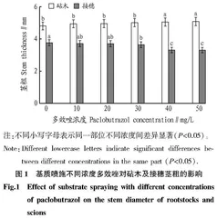 多效唑对早春嫁接西瓜幼苗生长和生理指标的影响