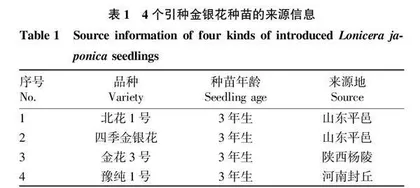吕梁山引种金银花花蕾质量分析
