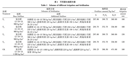 水肥菌一体化对马铃薯品质及水肥利用效率的影响