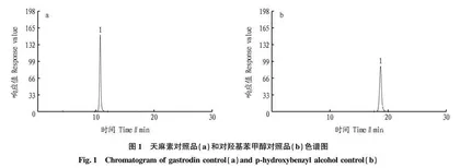 小口径容器天麻配制酒前处理方式研究