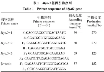 鹌鹑MyoD基因多态性与生长性状的相关性分析
