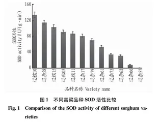 高粱品种成熟期抗性生理指标及可溶性糖与SS和SPS活性相关性研究