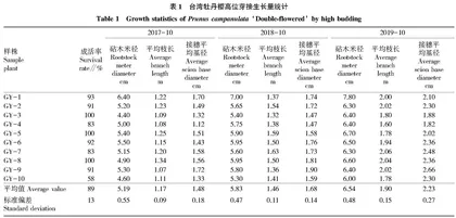 台湾牡丹樱高位嫁接枝条生长量调查与分析