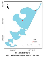 银川犀牛湖浮游植物群落结构与多样性