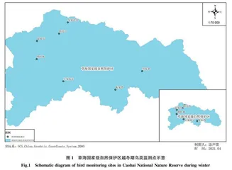 草海湿地越冬鸟类动态研究