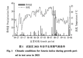 收获时期和方式对谷子产量和品质的影响