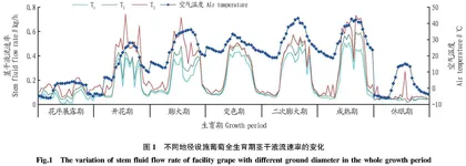 设施葡萄茎干液流变化特征及其影响因素研究