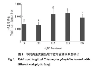 内生真菌对宽叶雀稗根系生长及生物量的影响