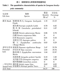 石羊河下游矮脚锦鸡儿群落特征研究