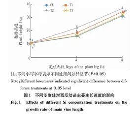硅对西瓜幼苗生长•光合特性及保护酶活性的影响