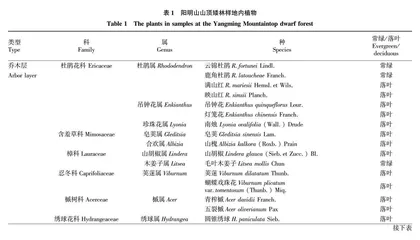 湖南阳明山山顶矮林群落结构及其与土壤因子的相关性