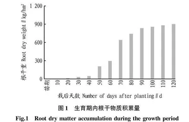 泸州烟区烤烟干物质积累和养分吸收动态变化研究