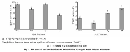 不同根际促生菌对金线莲生理特性的影响