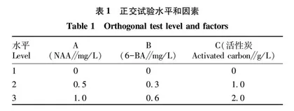 独蒜兰种子快速萌发培养研究