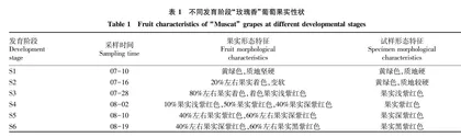  “玫瑰香”葡萄果实发育期香气成分分析