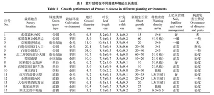 紫叶矮樱不同栽培环境景观效果评价与应用模式研究