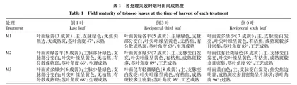 盘州上部烟叶适宜采收时期研究