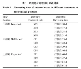 采收成熟度对烤烟叶片特征的影响