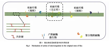 亚麻纤维脱胶技术及在复合材料领域的应用与研究进展