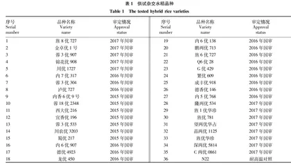 新审杂交水稻品种耐热性评价