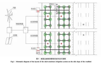 不同灌溉技术对干旱区铁路路域植被恢复的影响
