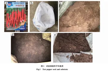 不同基质配比对辣椒穴盘育苗的影响