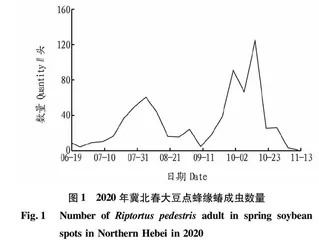 冀北春播大豆害虫发生规律及防治措施