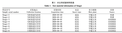 兴义市草地贪夜蛾监测及分子鉴定