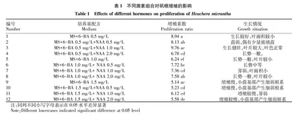 矾根组培增殖技术研究