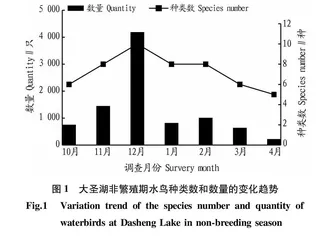 连云港市大圣湖非繁殖期水鸟群落结构及季节动态研究