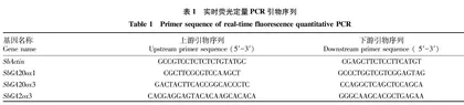 SbGA20ox1•SbGA20ox3和SbGA2ox3基因对高粱品种赤霉素表达水平的影响
