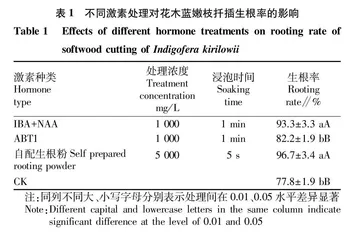 野生花木蓝规模化繁殖与应用技术研究