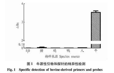 一种牛肉检测的荧光实时定量方法研究