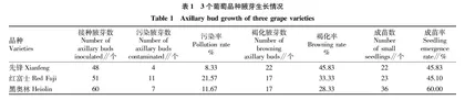 葡萄新品种组织培养快繁技术研究