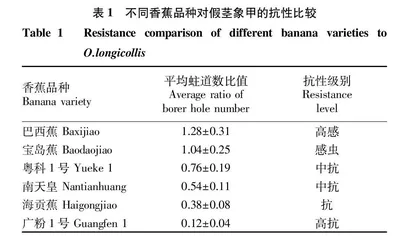 香蕉叶柄和假茎单宁含量与抗假茎象甲关系研究