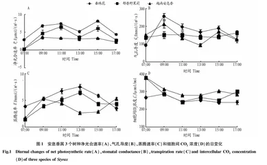 安息香属3个树种苗木光合特性与生长性状比较