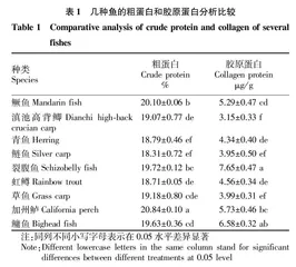 几种鱼类胶原蛋白营养生理的初探