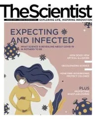 乔·拜登谈疫苗、赦免和团结美国:《时代》周刊2020年年度人物访谈2