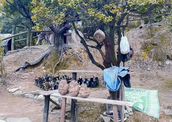 印度尼西亚,“我迷人的坏男友”1