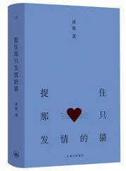 作家谈波,他的出现令人兴奋1