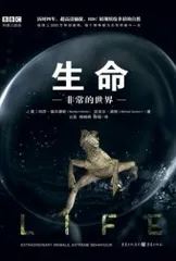 谁杀死了文青?2