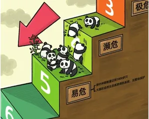 声音0